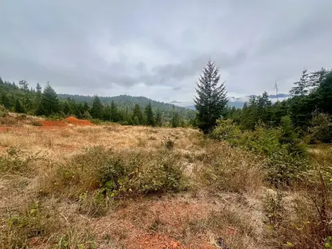 Glendale Farm/Estate Opportunity