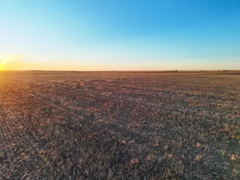 Cropland and Hunting Land Tract