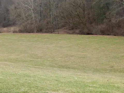 Vacant Land in Harrisville, WV