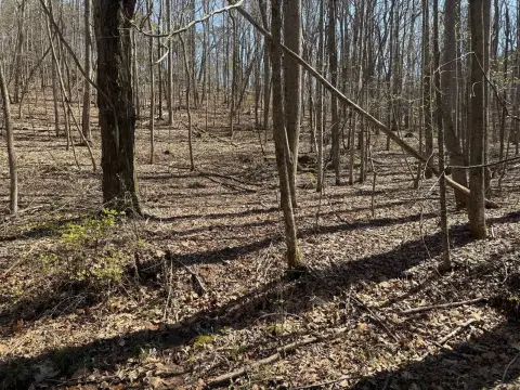 Wooded Acre in Ft Payne