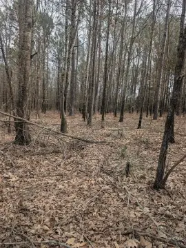 Unimproved Land in Hawkins, TX