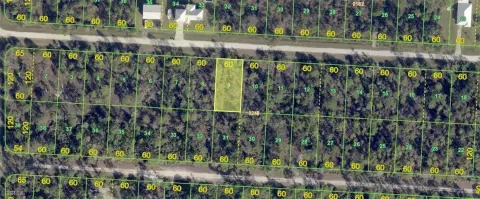 Residential Land in Punta Gorda