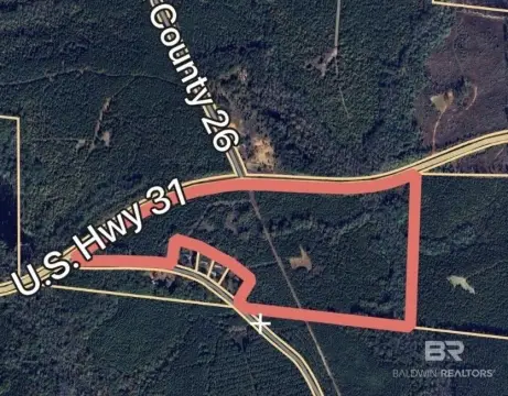 Hunting Land with Planted Pines
