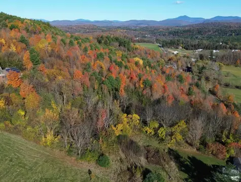 Charlotte Land with Mountain Views