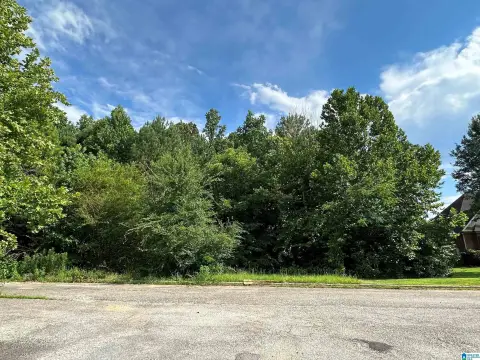 Residential Lot in Pinson, AL