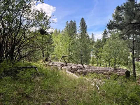 Residential Land in Cascade, ID