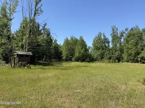 Pocahontas, TN Hunting Land