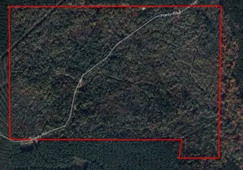 Marion County Hunting Land Opportunity