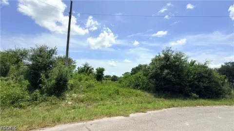 Partially Cleared Residential Lot