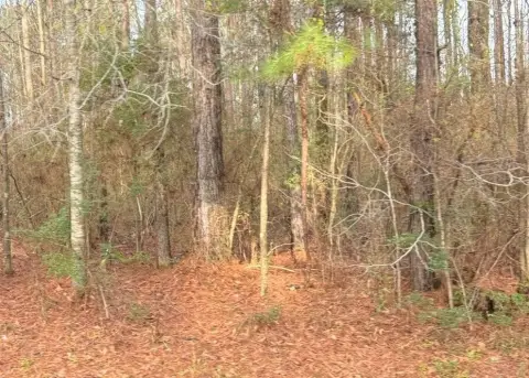 Carriere Vacant Lot in Gated Community