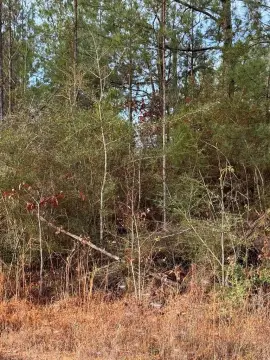 Vacant Lot in Gated Community