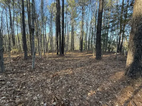Unrestricted Land Near Zebulon, NC