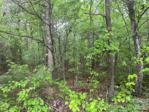 Smyrna Land For Sale