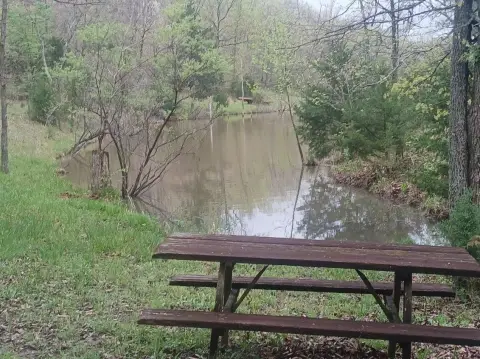 Recreation Land With Two Cabins