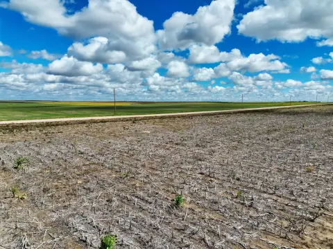 Agricultural Land with CRP Grassland