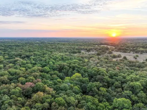 80-Acre Hunting Property