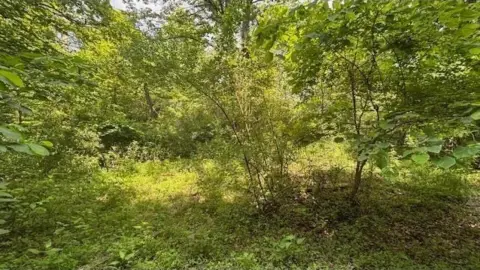 Amesville Wooded Land with Pond