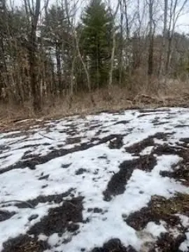 Building Lot Near Interstate