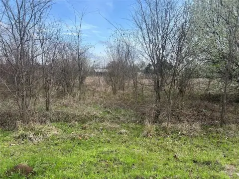 Lake View Homesite Opportunity