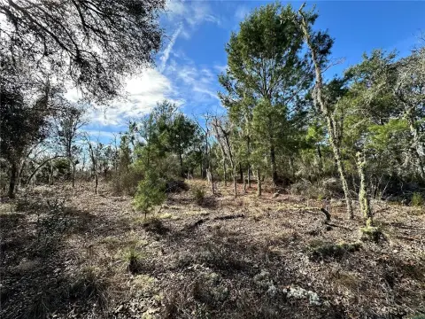 Williston Highlands Golf Lot