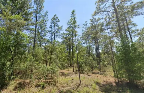 Vacant Lot in Rainbow Lakes