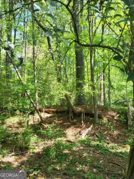 Atlanta Land Near Westside Park