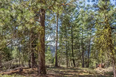 Remote Land with Mountain Views