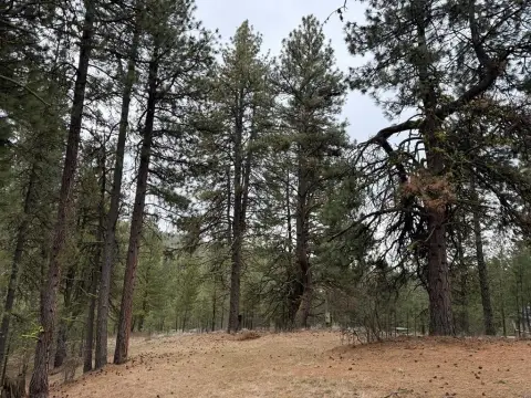 Build-Ready Lakeside Lot