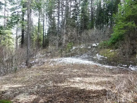 Wooded Land Near Cascade Lake