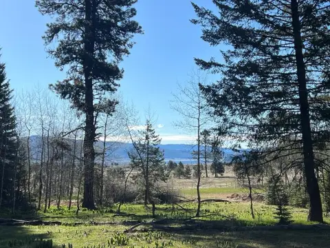Land Near Tamarack Resort