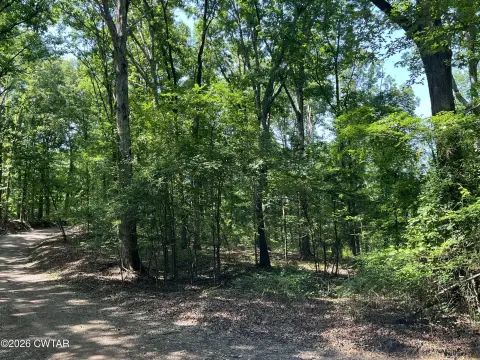 Recreational Hunting Land Parcel
