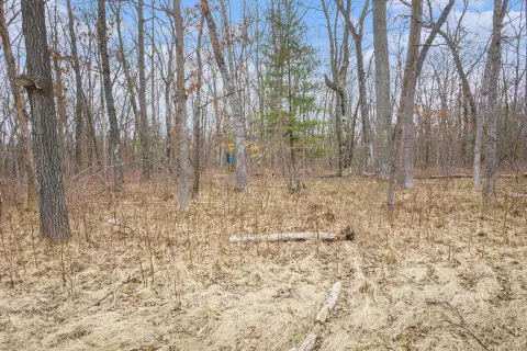 20 Acres Wooded Land Bitely