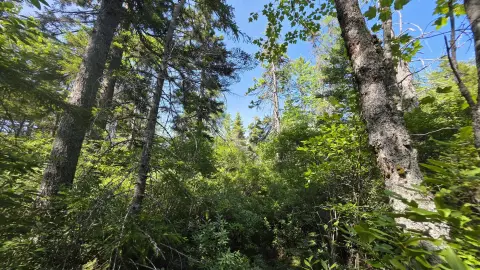 Waterfront Land with Deeded Mason Bay Access