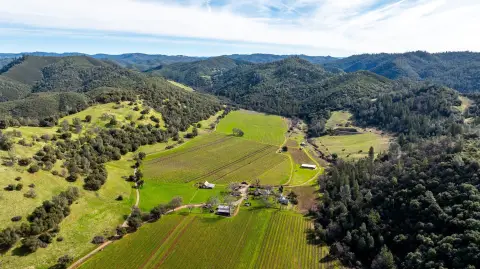 Calaveras County Vineyard Opportunity
