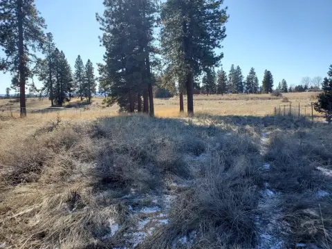 Oregon Shores Half Acre Lot