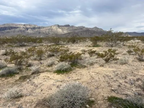 Residential Lot in Pahrump, NV