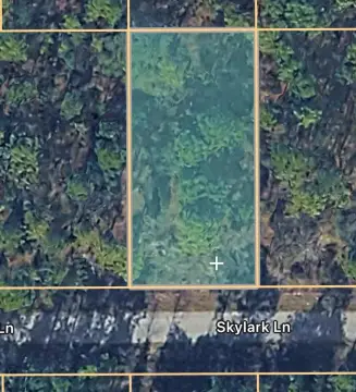 Residential Lot Near Rainbow Springs