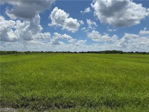 Cleared Agricultural Land