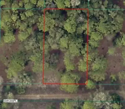 Wooded Lot in Rainbow Park