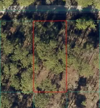 Homesite in Rainbow Lakes Estates