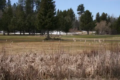 Golf Course Homesite in McCall