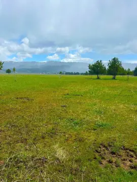 16 Acres Building Lot