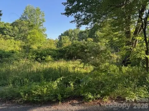 Residential Lot Near Downtown