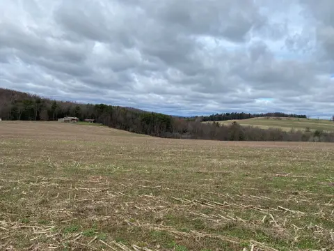 18-Acre Land in Cherry Tree