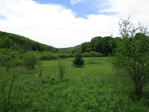 Vast Land with Cabin Potential