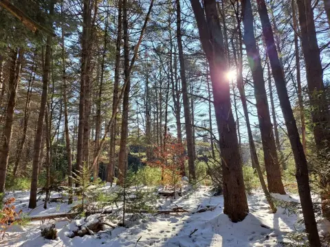 Secluded Land Near Great Sacandaga