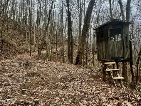 Recreational Land with Trails