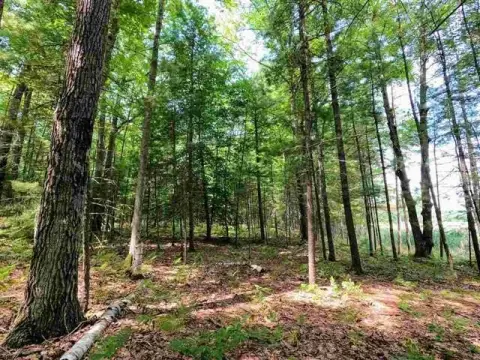 Waterfront Land With Lake Frontage