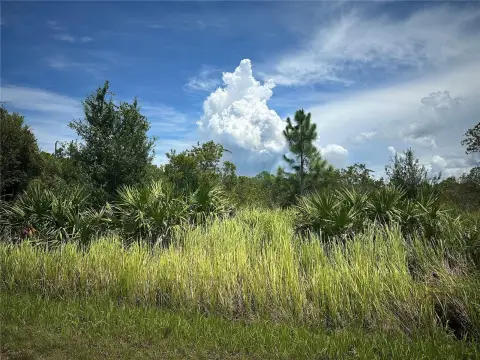 Vacant Land in Punta Gorda