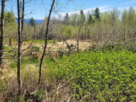 Recreational Land Near Lake Cascade